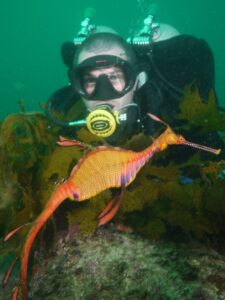 Diver and weedy sea dragon at Magic Point 